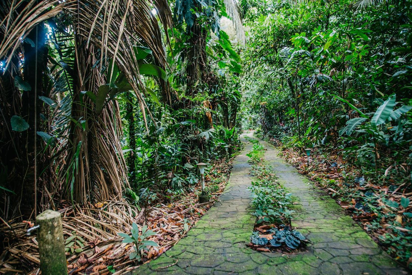 Arahuana Jungle Resort & Spa Тена Экстерьер фото